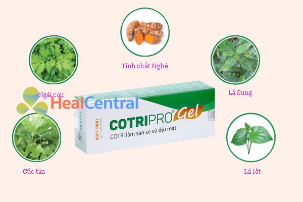 Thành phần của Cotripro Gel