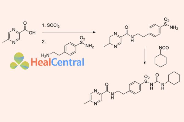 con đường tổng hợp glipizid