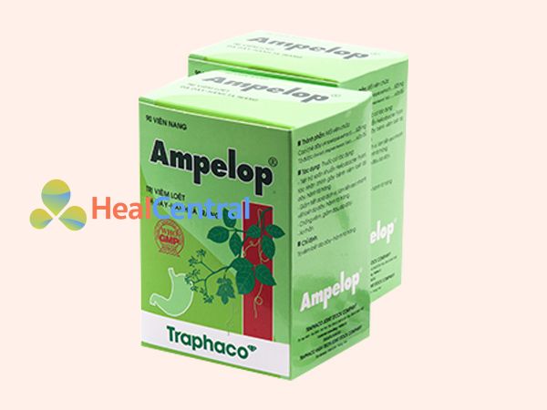 Thuốc Ampelop được sản xuất bở Công ty Traphaco