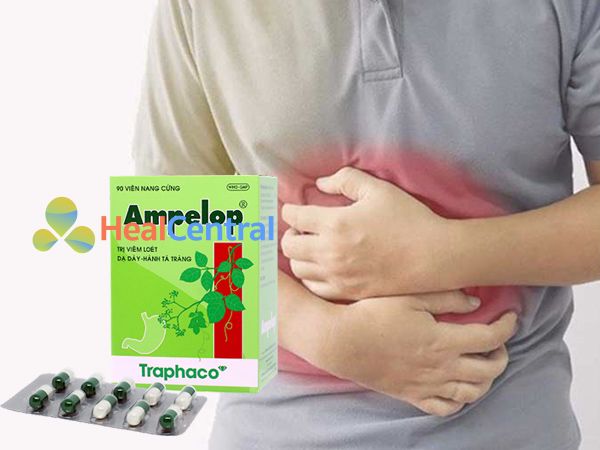 Ampelop giải quyết hiệu quả tình trạng đau dạ dày