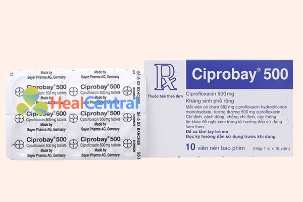 Mặt sau của Thuốc Ciprobay 500mg