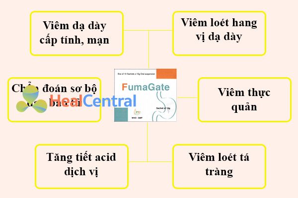 Chỉ định của thuốc Fumagate