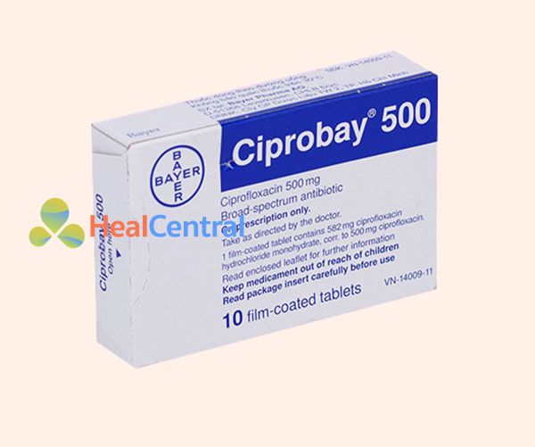 ciprobay 500 mg