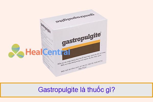 Thuốc Gastropulgite điều trị các triệu chứng viêm loét dạ dày