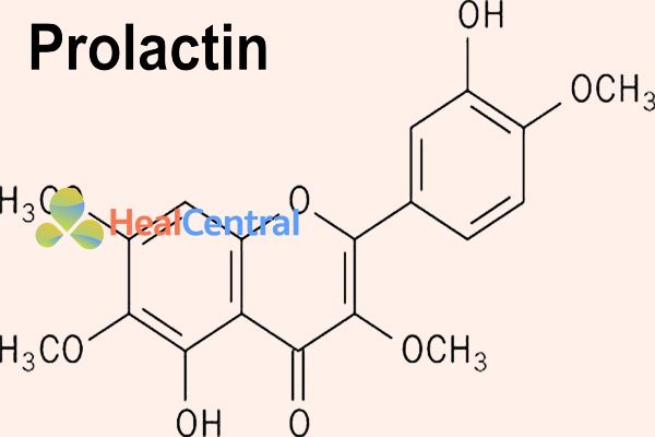 Công thức hóa học của Prolactin