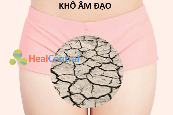 Gel bôi trơn Durex có tác dụng giảm khô hạn của cô bé