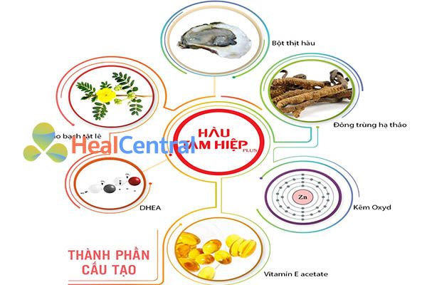 Thành phần của Hàu Tam Hiệp