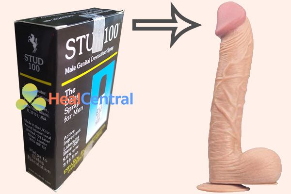 Vị trí xịt thuốc Stud 100