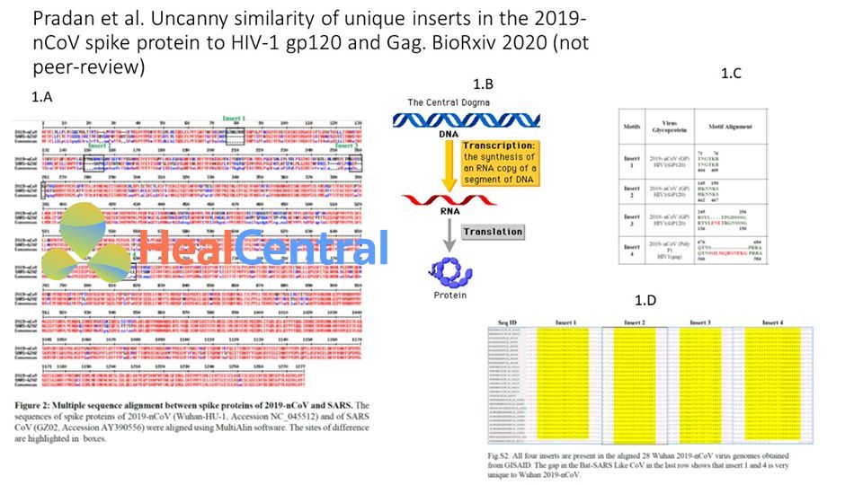 virus corona nCoV