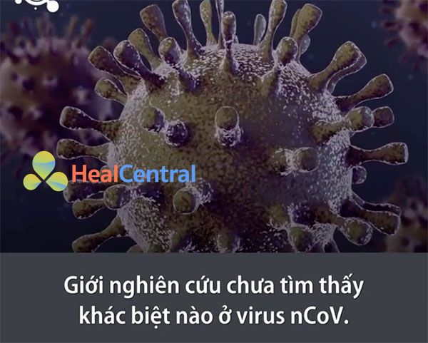 Giới nghiên cứu chưa tìm thấy khác biệt nào ở virus 2019-nCoV