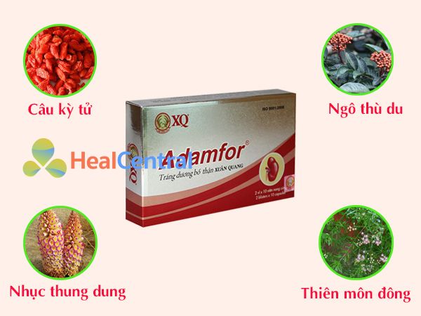 Thành phần thảo dược chính có trong Adamfor