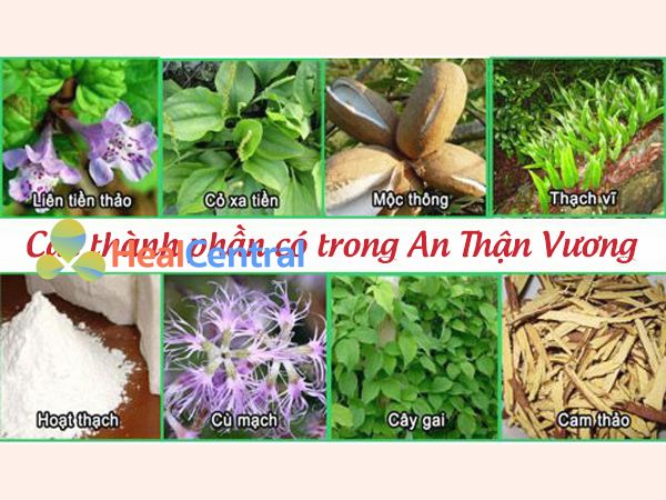 Các thảo dược có trong An Thận Vương