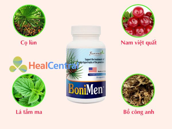 Các thảo dược có trong Bonimen