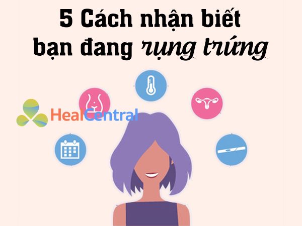 Các cách nhận biết thời kỳ rụng trứng khác