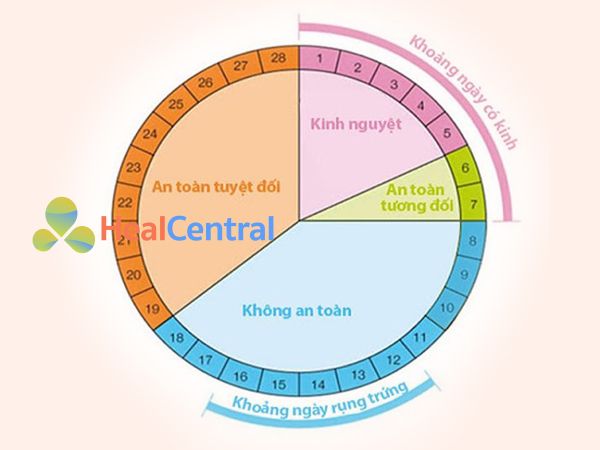 Tính ngày an toàn để phòng tránh có thai ngoài ý muốn