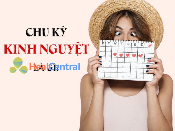 Chu kỳ kinh nguyệt là quá trinh thay đổi sinh lý tự nhiên ở nữ giới