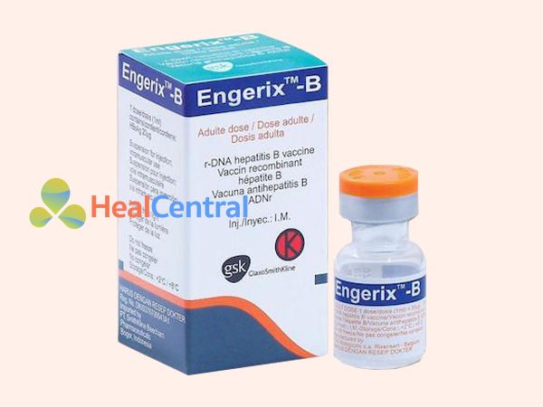 Thuốc tiêm phòng viêm gan B Engerix của GSK