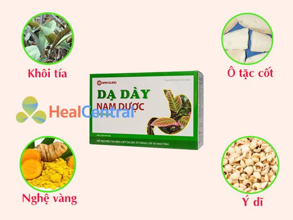 Các thảo dược chính có trong Dạ Dày Nam Dược