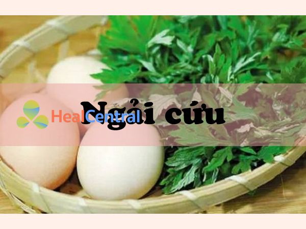 Ngải cứu rất tốt cho sức khỏe và giảm đau bụng kinh hiệu quả