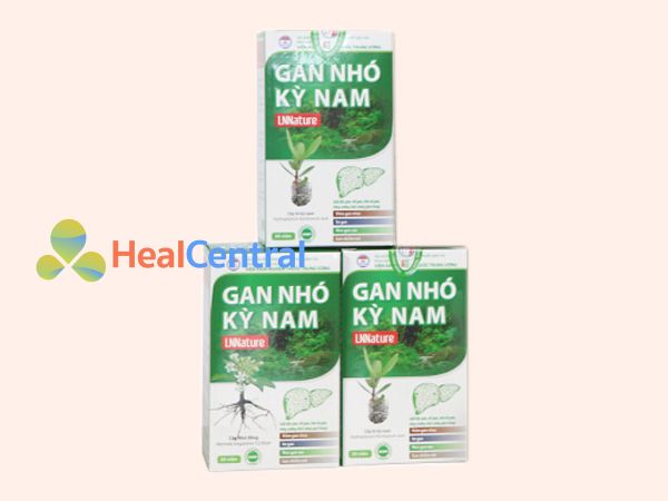 Gan Nhó Kỳ Nam - tăng cường chức năng gan