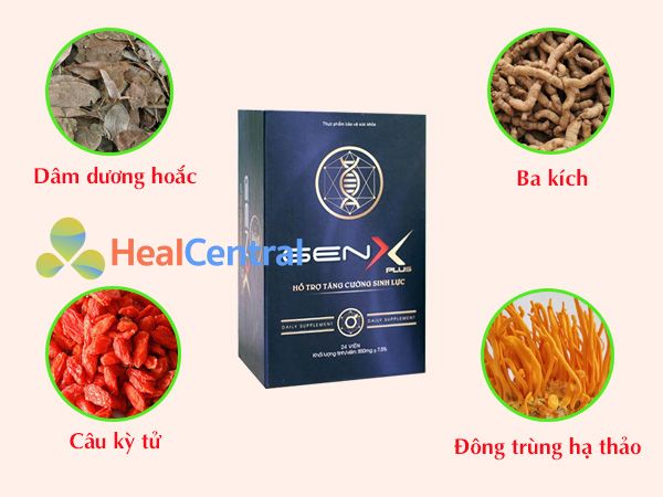 Các thảo dược chính có trong Gen X