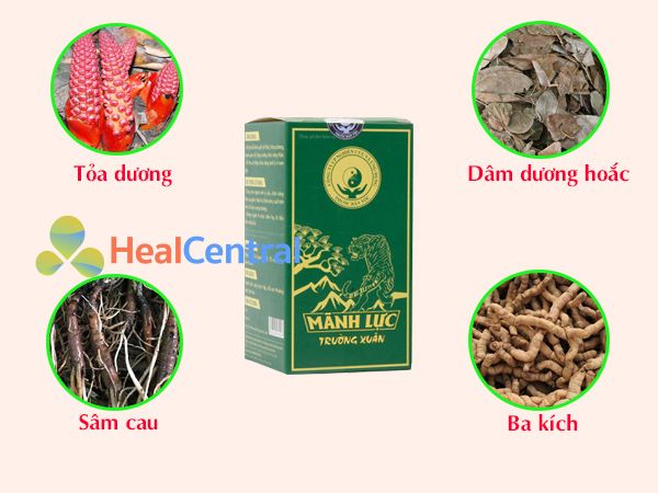 Các thành phần chính của Mãnh Lực Thường Xuân