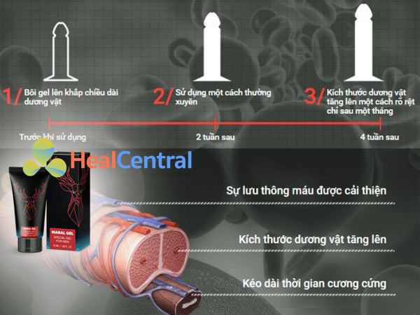 Tác dụng của Maral Gel