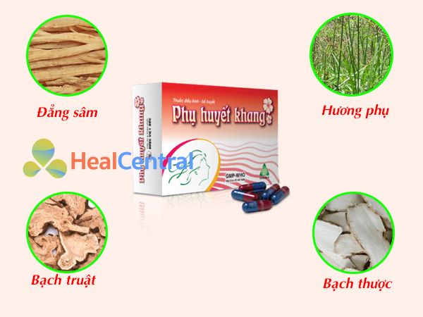 Các thành phần chính của Phụ Huyết Khang