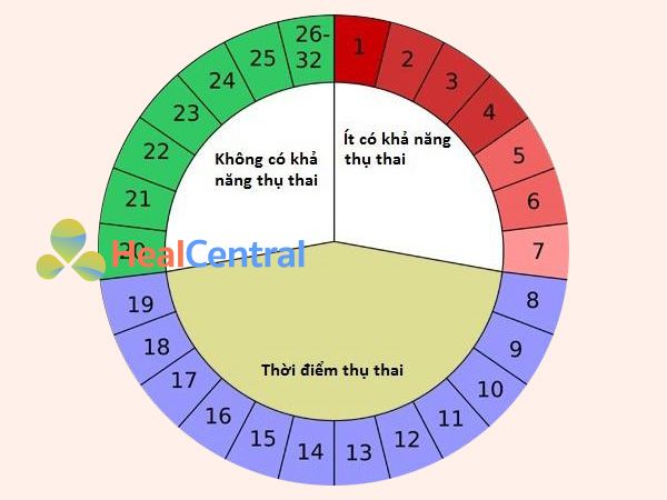 Tính ngày rụng trứng theo chu kỳ