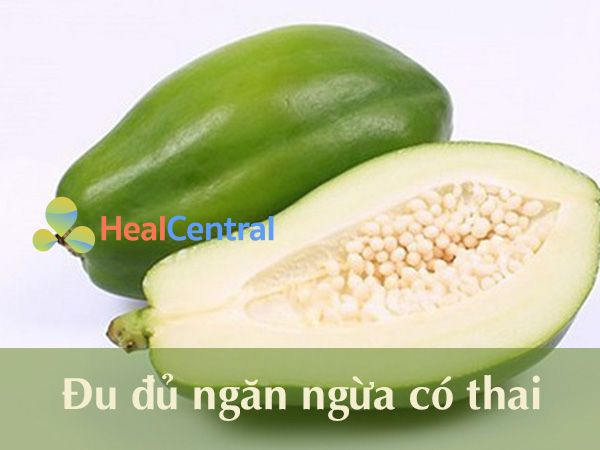 Đu đủ xanh giúp ngăn có thai ngoài ý muốn