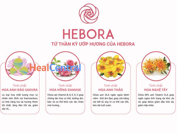 Các thành phần chính có trong viên uống Hebora