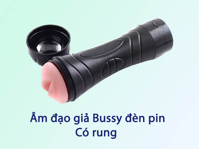 Âm đạo giả Bussy có rung