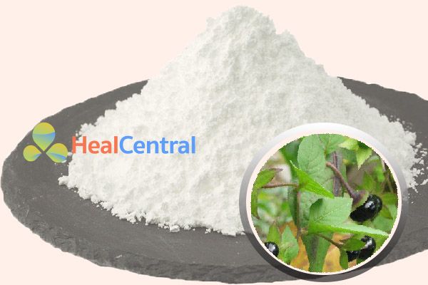 Bột Scopolamine chiết xuất từ Atropa Belladonna