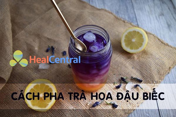 Cách pha trà hoa Đậu biếc đúng cách