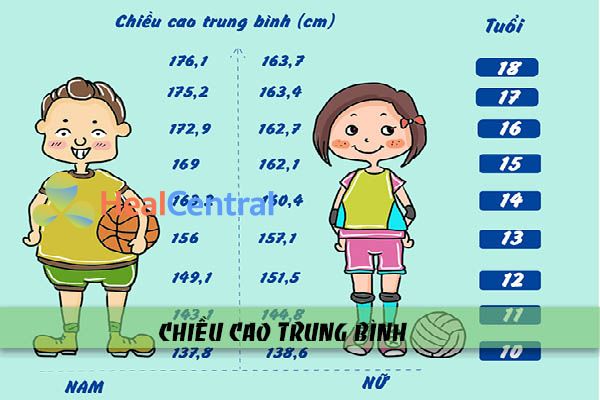 Chiều cao trung bình của người Việt Nam độ tuổi từ 10-18