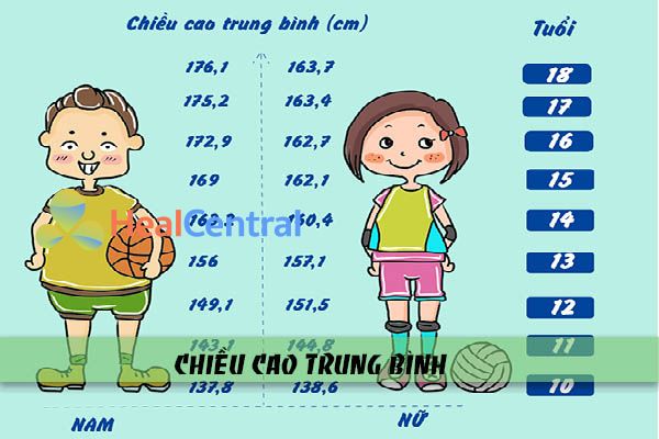 Chiều cao trung bình của người Việt Nam độ tuổi từ 10-18