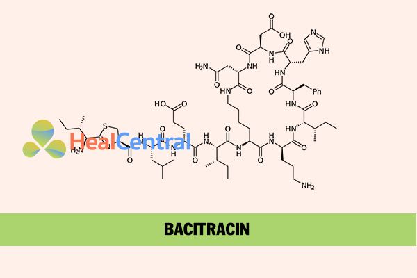 Công thức hóa học của Bacitracin