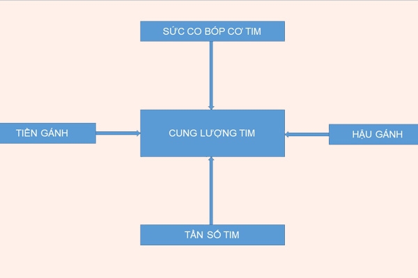 Cung lượng tim