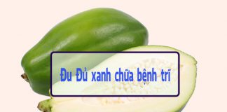 Chữa bệnh trĩ bằng Đu Đủ