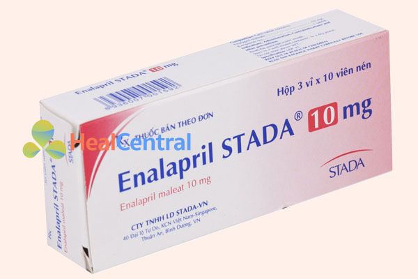 Enalapril maleate 10mg