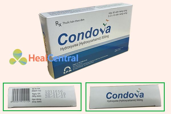 Thuốc Condova chữa ung thư máu