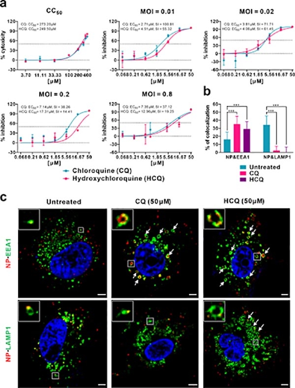 Ảnh: Hiệu lực chống virus so sánh và cơ chế tác dụng của CQ và HCQ chống lại nhiễm SARS-CoV-2 in vitro.