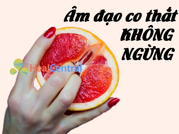 Âm đạo co thắt mạnh hơn và liên tục