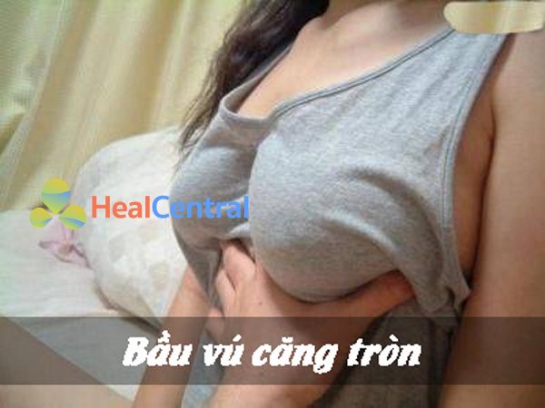 Bầu vú trở nên cương cứng, hấp dẫn hơn