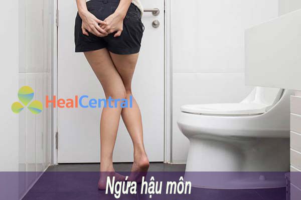 Bệnh nhân bị trĩ rất thường bị ngứa hậu môn