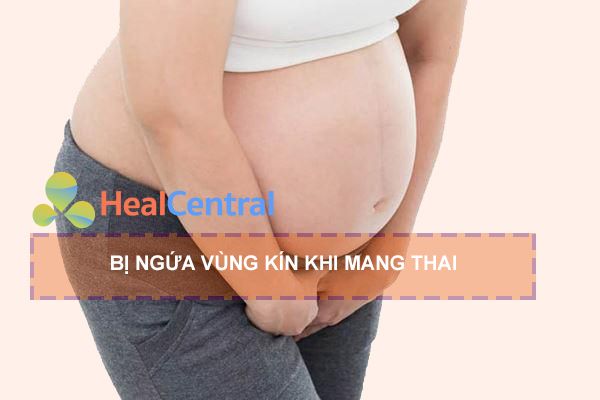 Ngứa vùng kín khi mang thai có nguy hiểm không?