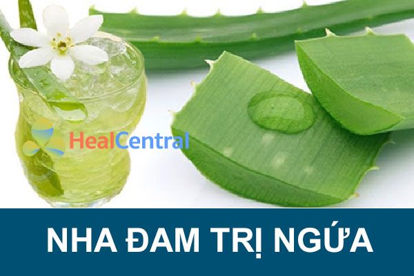 Nha đam có tác dụng làm hồng vùng kín