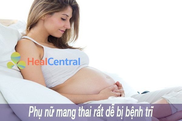 Phụ nữ có thai rất dễ bị bệnh trĩ