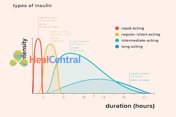 Sự khác biệt giữa thời gian tác dụng của các loại Insulin