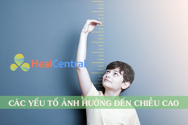 Tăng chiều cao phụ thuộc vào 5 yếu tố chính